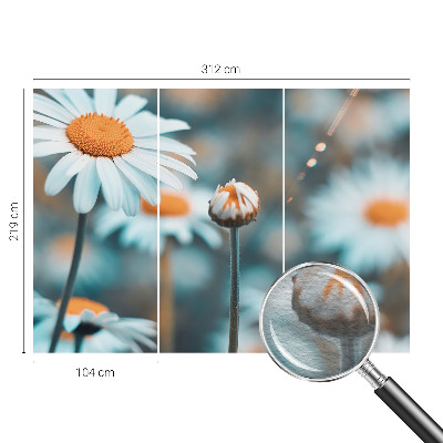 Tapeta fotograficzna z motywem delikatnych rumianków