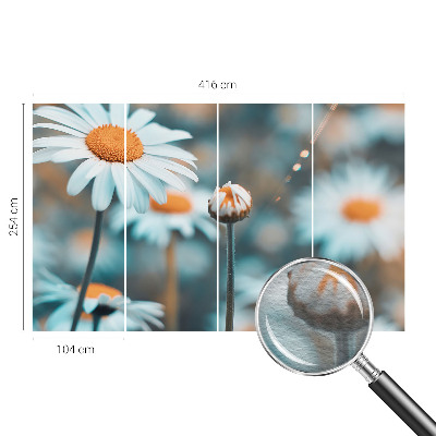 Tapeta fotograficzna z motywem delikatnych rumianków