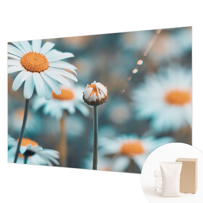 Tapeta fotograficzna z motywem delikatnych rumianków