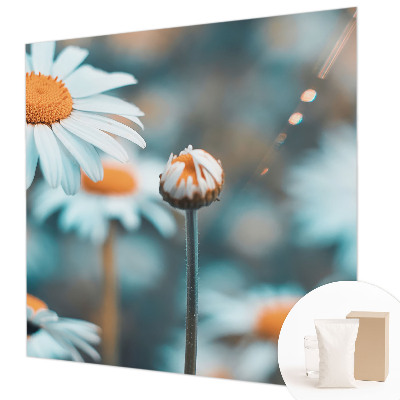 Tapeta fotograficzna z motywem delikatnych rumianków