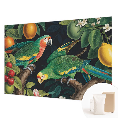 Dekoracyjna fototapeta na ścianę Tropikalna przygoda