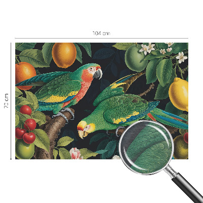 Dekoracyjna fototapeta na ścianę Tropikalna przygoda