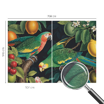 Dekoracyjna fototapeta na ścianę Tropikalna przygoda