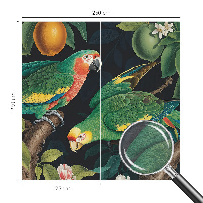 Dekoracyjna fototapeta na ścianę Tropikalna przygoda