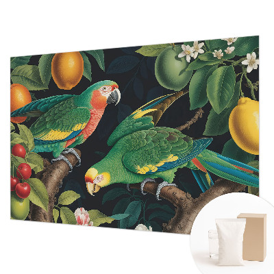 Dekoracyjna fototapeta na ścianę Tropikalna przygoda