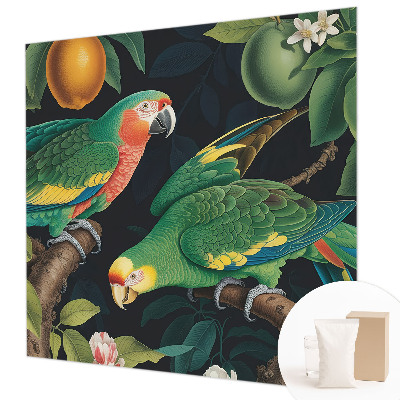 Dekoracyjna fototapeta na ścianę Tropikalna przygoda