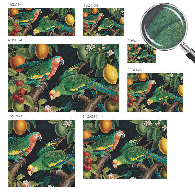 Dekoracyjna fototapeta na ścianę Tropikalna przygoda