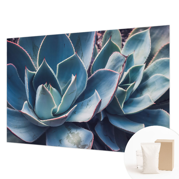 Nowoczesna fototapeta do salonu Zielony aloes