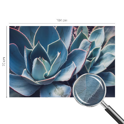 Nowoczesna fototapeta do salonu Zielony aloes