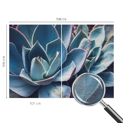 Nowoczesna fototapeta do salonu Zielony aloes