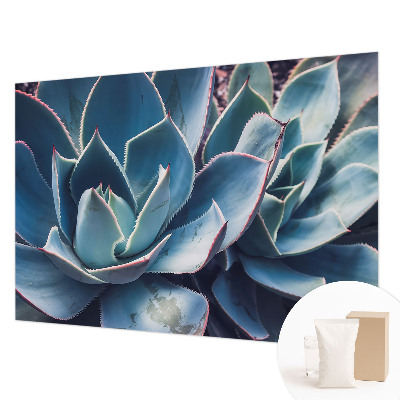 Nowoczesna fototapeta do salonu Zielony aloes