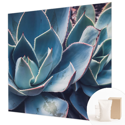 Nowoczesna fototapeta do salonu Zielony aloes