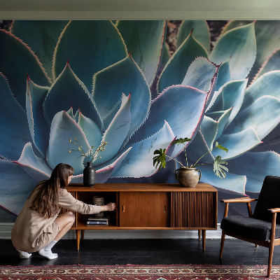 Nowoczesna fototapeta do salonu Zielony aloes