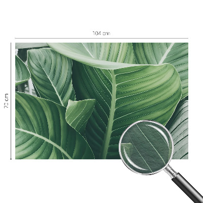 Fototapeta na ścianę Zielony spokój