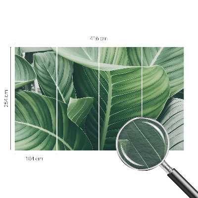 Fototapeta na ścianę Zielony spokój