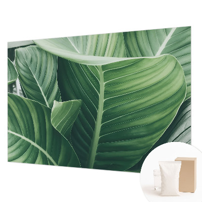 Fototapeta na ścianę Zielony spokój