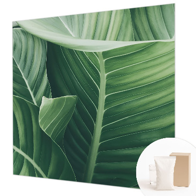 Fototapeta na ścianę Zielony spokój