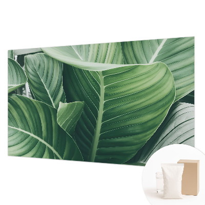 Fototapeta na ścianę Zielony spokój