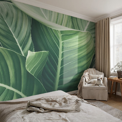 Fototapeta na ścianę Zielony spokój