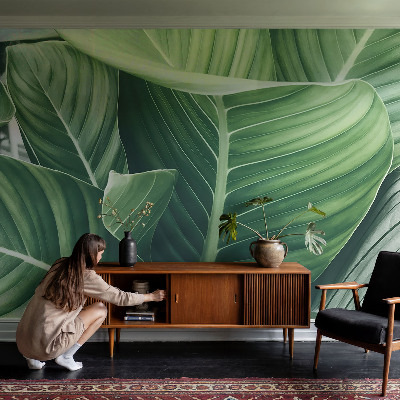 Fototapeta na ścianę Zielony spokój