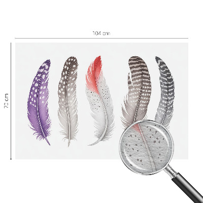 Fototapeta fizelinowa z nadrukiem Wzorzyste pióra