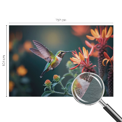 Fototapeta na ścianę Koliberek kwiaty