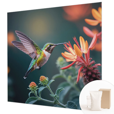 Fototapeta na ścianę Koliberek kwiaty