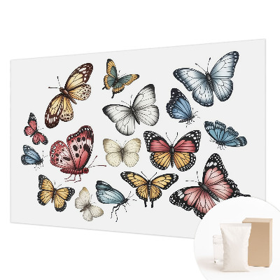 Tapeta fotograficzna Tapeta fotograficzna Motyle rajskie