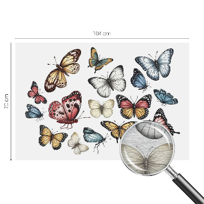 Tapeta fotograficzna Motyle rajskie