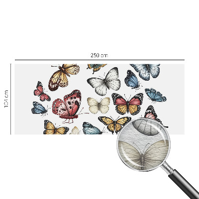 Tapeta fotograficzna Motyle rajskie