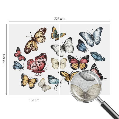 Tapeta fotograficzna Motyle rajskie