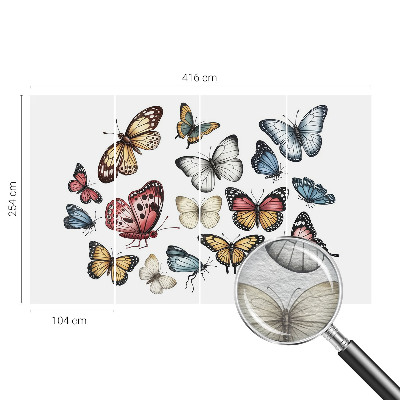 Tapeta fotograficzna Motyle rajskie