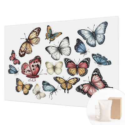 Tapeta fotograficzna Motyle rajskie