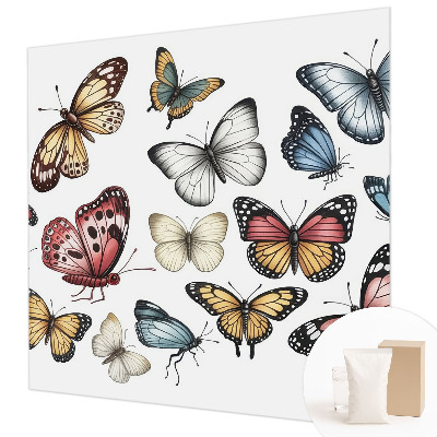 Tapeta fotograficzna Motyle rajskie