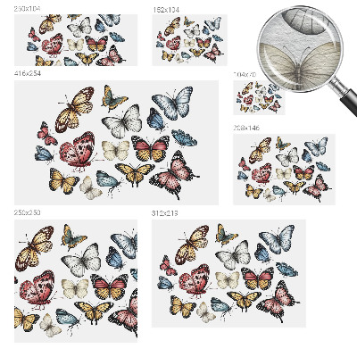 Tapeta fotograficzna Motyle rajskie