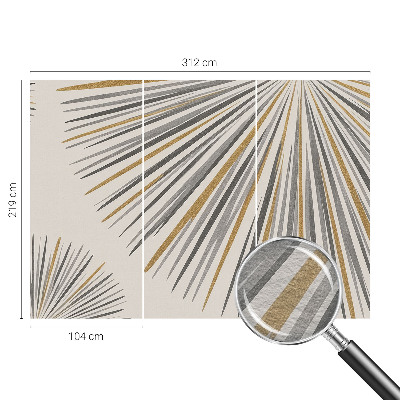 Nowoczesna fototapeta do salonu Geometryczne wachlarze
