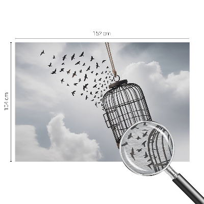 Tapeta fotograficzna fizelinowa Ptaki fruwające