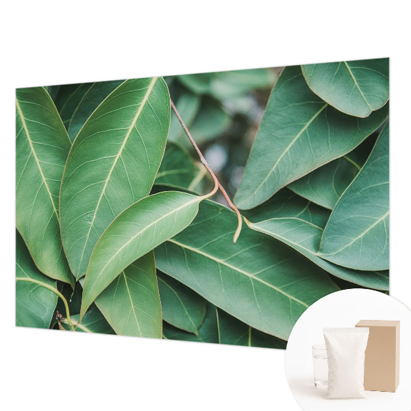 Fototapeta na ścianę Zielone liście