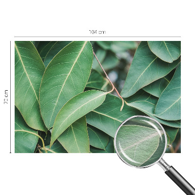 Fototapeta na ścianę Zielone liście