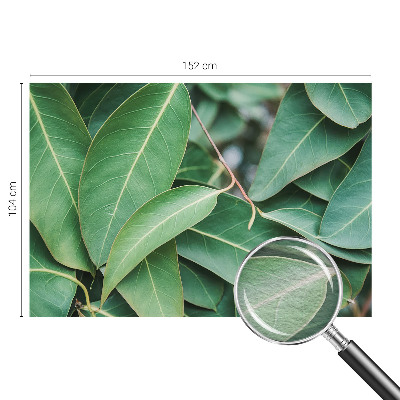 Fototapeta na ścianę Zielone liście