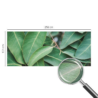 Fototapeta na ścianę Zielone liście