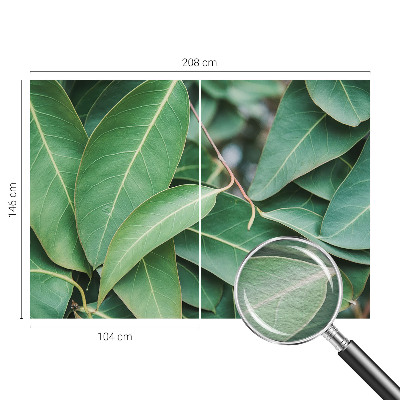 Fototapeta na ścianę Zielone liście