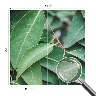 Fototapeta na ścianę Zielone liście