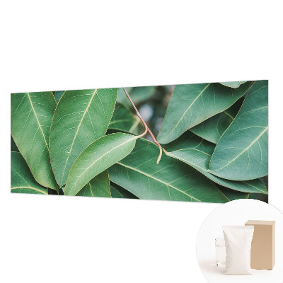 Fototapeta na ścianę Zielone liście