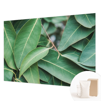 Fototapeta na ścianę Zielone liście