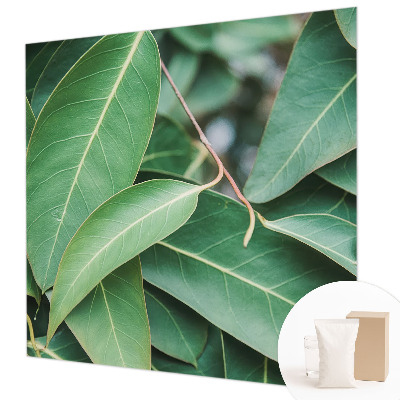 Fototapeta na ścianę Zielone liście