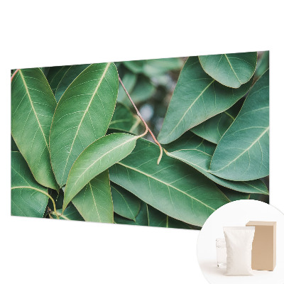 Fototapeta na ścianę Zielone liście