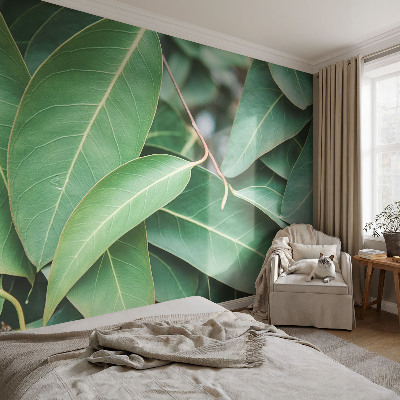 Fototapeta na ścianę Zielone liście