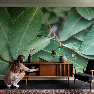 Fototapeta na ścianę Zielone liście