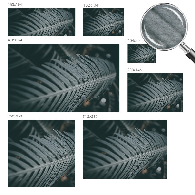 Dekoracyjna fototapeta na ścianę Dekoracyjna fototapeta na ścianę Zielony liść